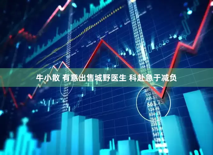牛小散 有意出售城野医生 科赴急于减负