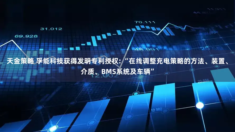 天金策略 孚能科技获得发明专利授权: “在线调整充电策略的方法、装置、介质、BMS系统及车辆”